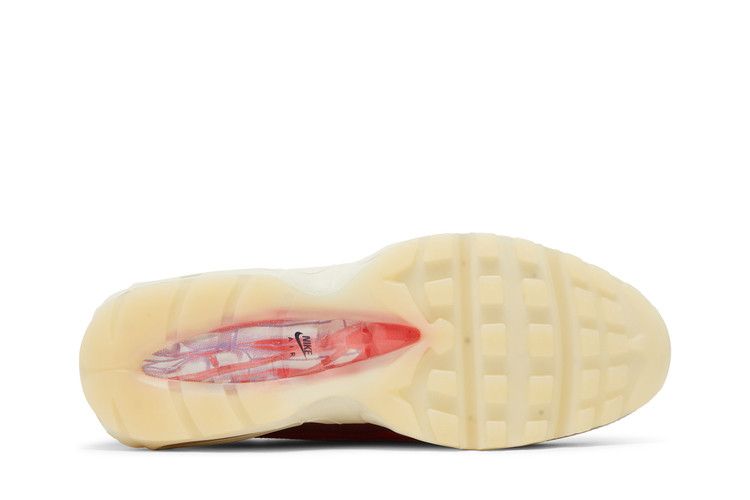Air Max 95 Anatomy of Air GID