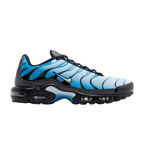 Nike Air Max Plus Blue Gradient - Side Kicks