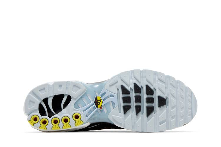 Air Max Plus Swoosh Pack Blue Tint