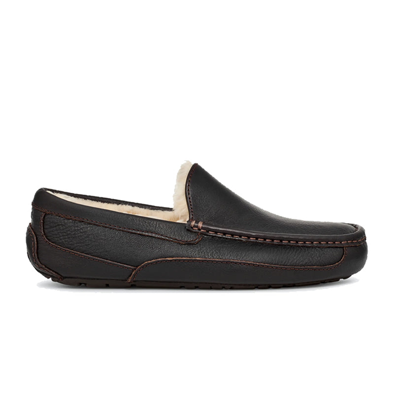 ASCOT DARK SPICE