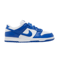 Nike Dunk Low SP Kentucky (2020/2022) - Side Kicks