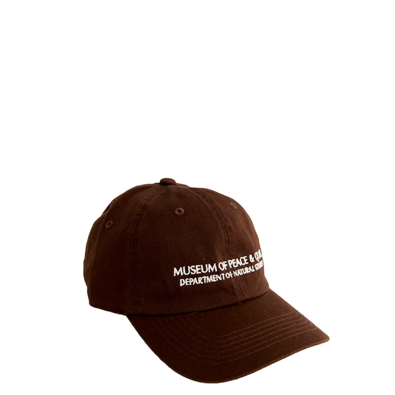 NATURAL STUDIES DAD HAT BROWN