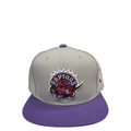 NBA 1995 TORONTO RAPTORS HWC SNAPBACK GREY/PURPLE