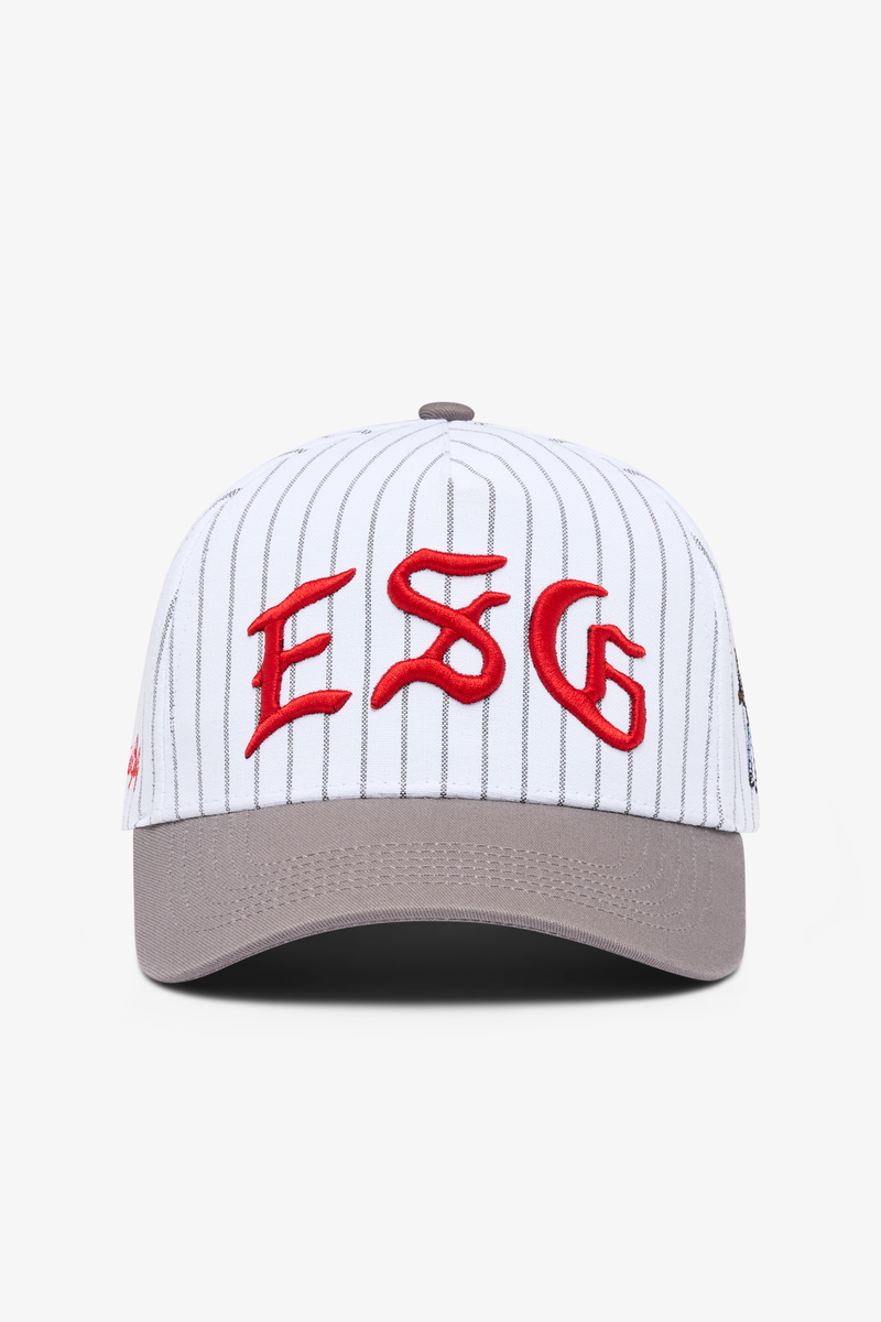 Pinstripe 5 Panel Hat