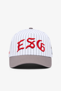 Pinstripe 5 Panel Hat