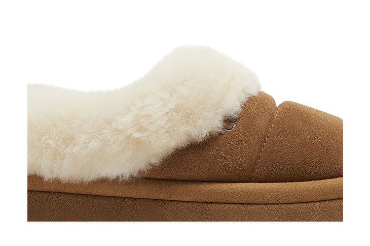 UGG Tazzlita Slipper Chestnut (Women's)